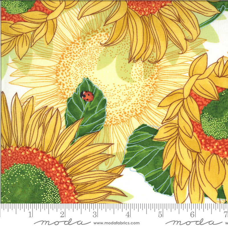 15" End of Bolt - Solana Sunflowers 48680 Cream - Moda Fabrics - Floral Flowers Flower on Cream Natural - Quilting Cotton Fabric