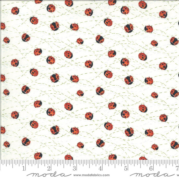 CLEARANCE Solana Ladybug 48684 Cream - Moda Fabrics - Ladybugs Bugs Natural - Quilting Cotton Fabric -