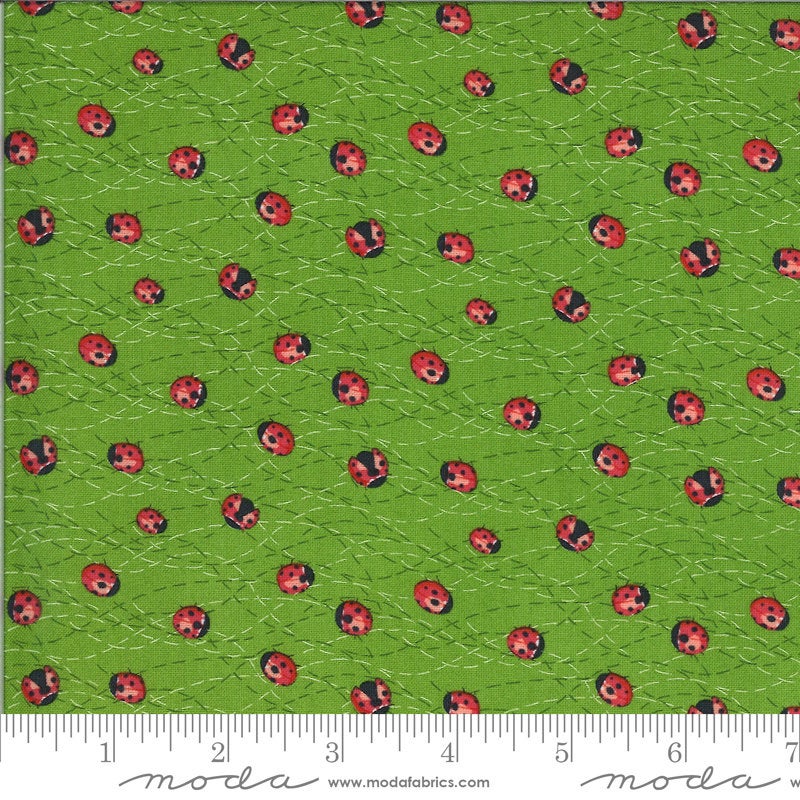SALE Solana Ladybug 48684 Sprout - Moda Fabrics - Ladybugs Bugs Green - Quilting Cotton Fabric
