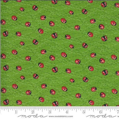 SALE Solana Ladybug 48684 Sprout - Moda Fabrics - Ladybugs Bugs Green - Quilting Cotton Fabric