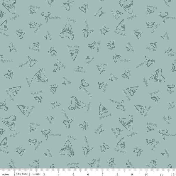 Riptide Fossils C10301 Seafoam - Riley Blake Designs - Sea Ocean Sharks Teeth Names Green - Quilting Cotton Fabric