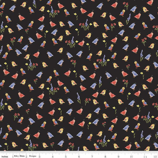 SALE Beautiful Day Quail C10691 Black - Riley Blake Designs - Birds Flowers - Quilting Cotton