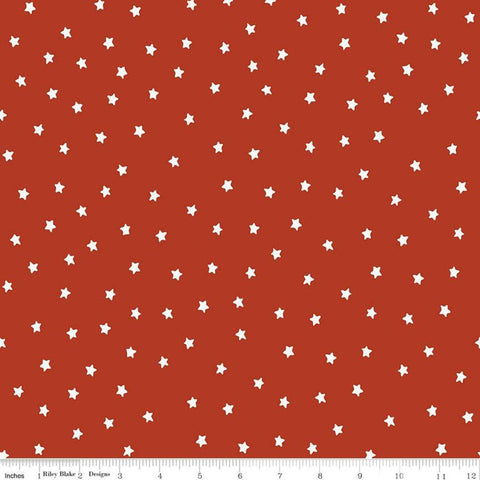 CLEARANCE Halloween Whimsy Stars C11824 Parchment - Riley Blake Designs -  Textured Background - Quilting Cotton Fabric