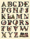 SALE Christmas at Buttermilk Acres Alphabet Panel - Riley Blake Designs - Quilting Cotton Fabric