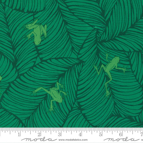SALE Jungle Paradise Oh Froggy 20786 Palm - Moda Fabrics - Frog Frogs Green - Quilting Cotton Fabric