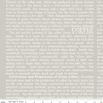 CLEARANCE Coffee Chalk Text C11039 Taupe - Riley Blake Designs - Words Gray Beige - Quilting Cotton Fabric