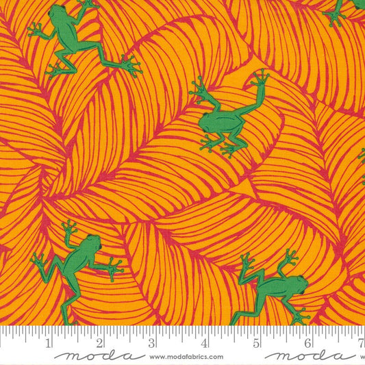 DEAL Jungle Paradise Oh Froggy 20786 Tiger - Moda Fabrics - Frog Frogs Orange Green - Quilting Cotton Fabric