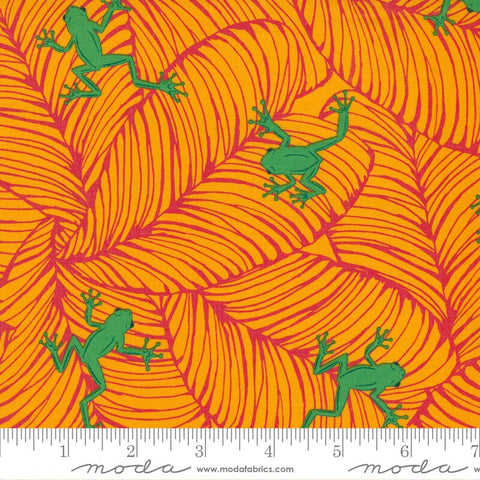 SALE Jungle Paradise Oh Froggy 20786 Tiger - Moda Fabrics - Frog Frogs Orange Green - Quilting Cotton Fabric