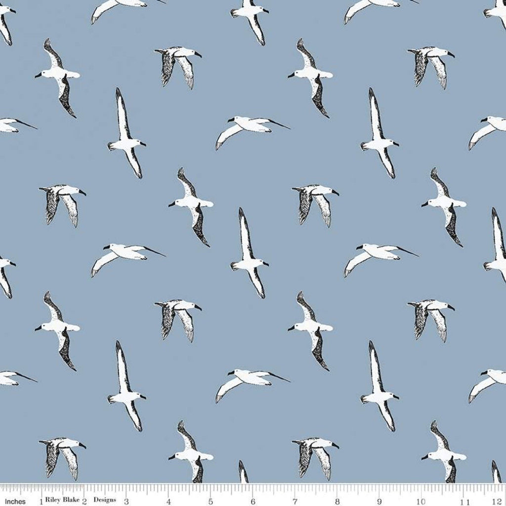 SALE Heartsong Albatross C11302 Blue - Riley Blake Designs - Bird Birds - Quilting Cotton Fabric