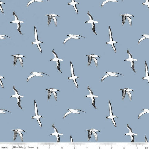 SALE Heartsong Albatross C11302 Blue - Riley Blake Designs - Bird Birds - Quilting Cotton Fabric