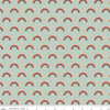 SALE FLANNEL Salt and Honey Rainbows F11452 Mint - Riley Blake Designs - Juvenile Rainbow Green - FLANNEL Cotton Fabric