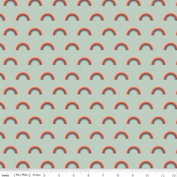SALE FLANNEL Salt and Honey Rainbows F11452 Mint - Riley Blake Designs - Juvenile Rainbow Green - FLANNEL Cotton Fabric