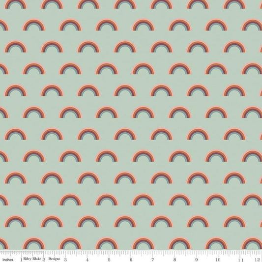 SALE FLANNEL Salt and Honey Rainbows F11452 Mint - Riley Blake Designs - Juvenile Rainbow Green - FLANNEL Cotton Fabric