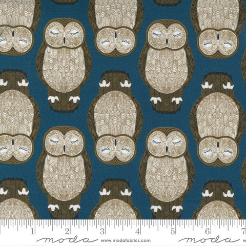 Nocturnal Sleeping Owls 48332 Lake - Moda Fabrics - Bird Birds Owl on Turquoise - Quilting Cotton Fabric