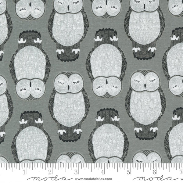 35" End of Bolt - Nocturnal Sleeping Owls 48332 Raincloud - Moda Fabrics - Bird Birds Owl on Gray Grey - Quilting Cotton Fabric