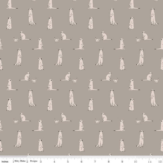 SALE The Waterhole Meerkat C11843 Gray - Riley Blake Designs - Meerkats Africa Savanna Animals - Quilting Cotton Fabric