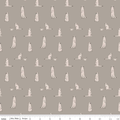 The Waterhole Meerkat C11843 Gray - Riley Blake Designs - Meerkats Africa Savanna Animals - Quilting Cotton Fabric