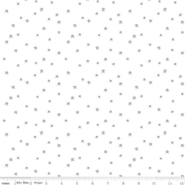 SALE Bee Plaids Farmhouse Star C12039 Denim by Riley Blake Designs - Hand-Drawn Stars on White - Lori Holt - Quilting Cotton Fabric