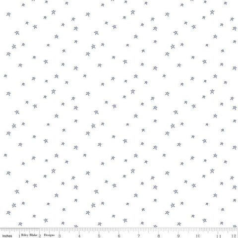 Bee Plaids Farmhouse Star C12039 Denim by Riley Blake Designs - Hand-Drawn Stars on White - Lori Holt - Quilting Cotton Fabric