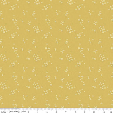 20" End of Bolt - Daybreak Seeds C11626 Daisy - Riley Blake Designs - Floral Flowers - Quilting Cotton Fabric