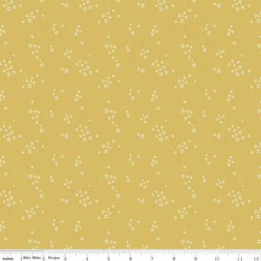 CLEARANCE Daybreak Seeds C11626 Daisy - Riley Blake Designs - Floral Flowers - Quilting Cotton Fabric