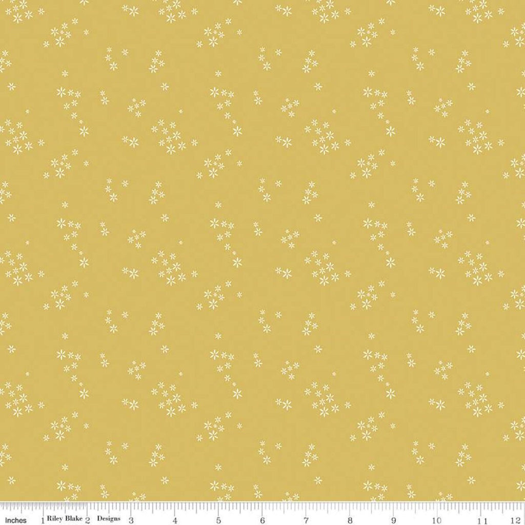 SALE Daybreak Seeds C11626 Daisy - Riley Blake Designs - Floral Flowers - Quilting Cotton Fabric