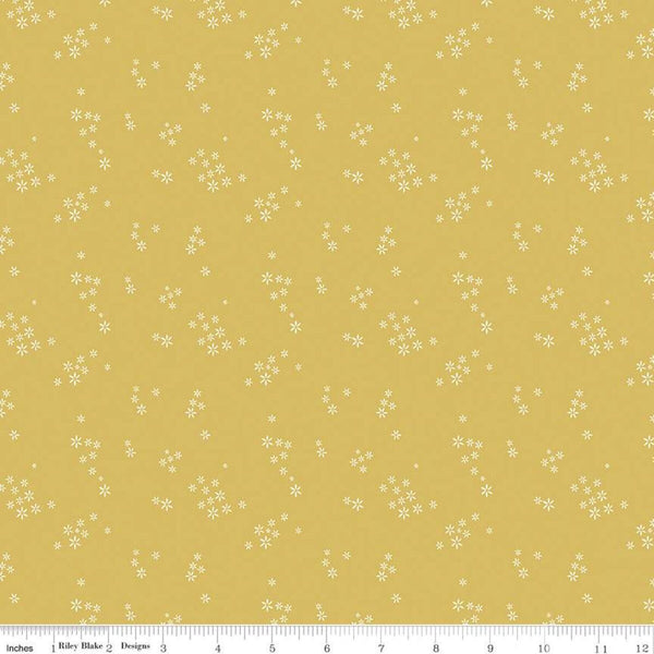 CLEARANCE Daybreak Seeds C11626 Daisy - Riley Blake Designs - Floral Flowers - Quilting Cotton Fabric