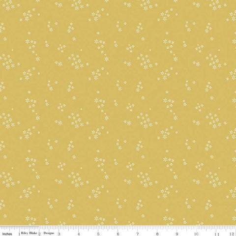 SALE Daybreak Seeds C11626 Daisy - Riley Blake Designs - Floral Flowers - Quilting Cotton Fabric