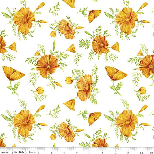CLEARANCE Golden Poppies Flowers C11801 White - Riley Blake Designs - Floral Flower - Quilting Cotton Fabric