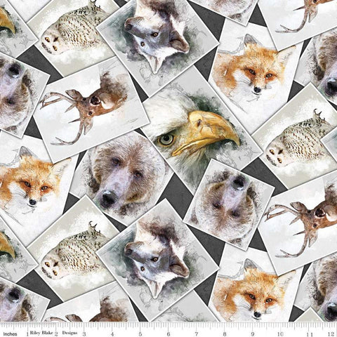 CLEARANCE Nature's Window Photos CD11861 Charcoal - Riley Blake Designs - DIGITALLY PRINTED Images Animals Wildlife - Quilting Cotton