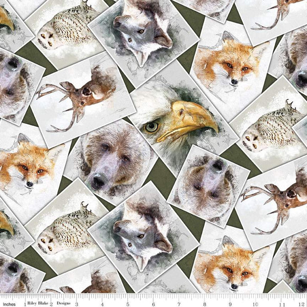 CLEARANCE Nature's Window Photos CD11861 Forest - Riley Blake Designs - DIGITALLY PRINTED Images Animals Wildlife - Quilting Cotton