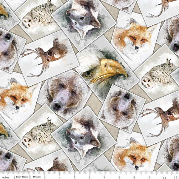 SUPER DEAL BTY! Nature's Window Photos CD11861 Parchment - Riley Blake Designs - Digitally Printed Images Animals Wildlife - Quilting Cotton