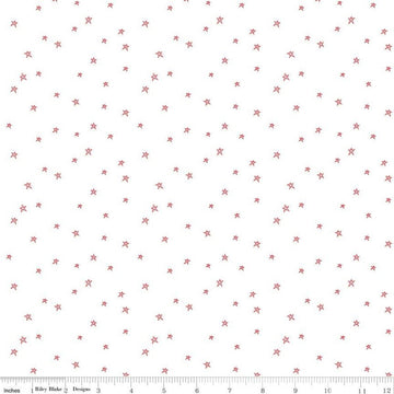 Bee Plaids Farmhouse Star C12039 Cayenne - Riley Blake Designs - Hand-Drawn Stars on White - Lori Holt - Quilting Cotton Fabric