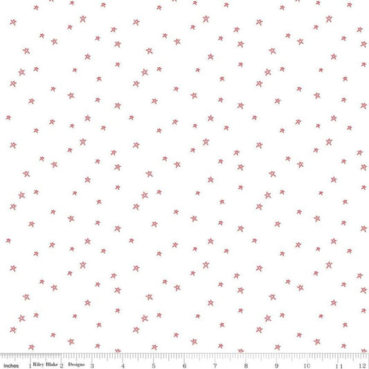 Bee Plaids Farmhouse Star C12039 Cayenne - Riley Blake Designs - Hand-Drawn Stars on White - Lori Holt - Quilting Cotton Fabric