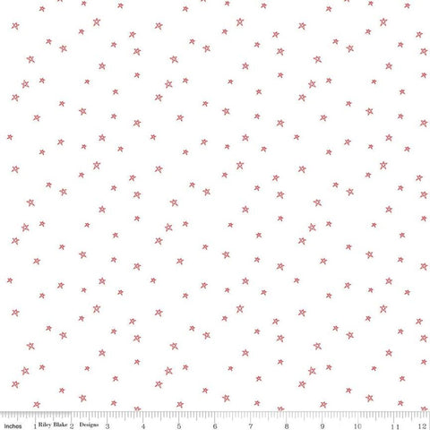 SALE Bee Plaids Farmhouse Star C12039 Cayenne by Riley Blake Designs - Hand-Drawn Stars on White - Lori Holt - Quilting Cotton Fabric