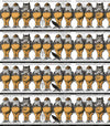 SALE Mad Masquerade Border Stripe CD11953 - Riley Blake Designs - Alice in Wonderland Halloween DIGITALLY PRINTED - Quilting Cotton Fabric