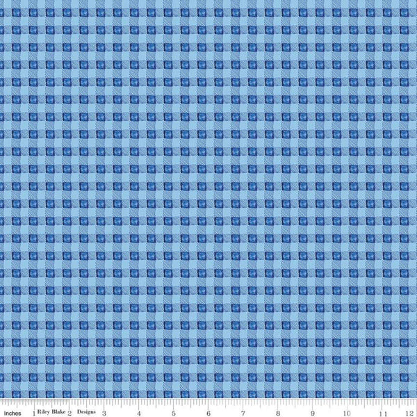 SALE Sunshine and Dewdrops PRINTED Gingham C11977 Sky - Riley Blake Designs - Blue Checks Checkered - Quilting Cotton Fabric