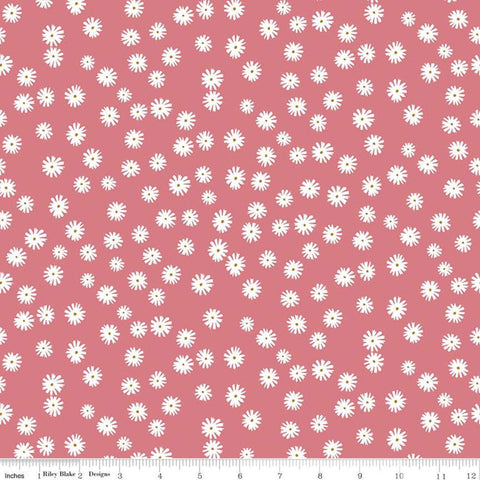 SALE Flower Garden Daisies C11903 Coral - Riley Blake Designs - Floral Cream Flowers - Quilting Cotton Fabric