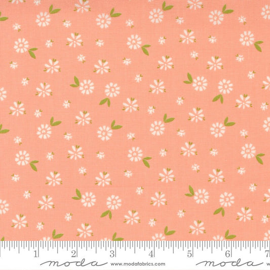 DEAL Seashore Drive Blossom 37622 Cantalope - Moda Fabrics - Floral Flowers Peach - Quilting Cotton Fabric
