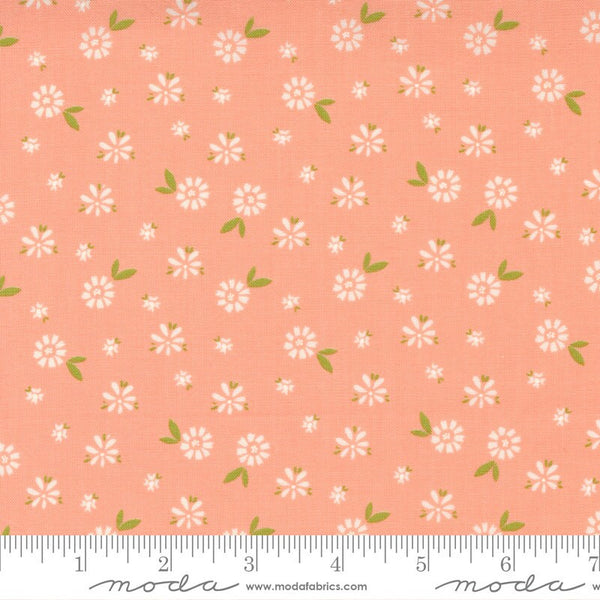 SALE Seashore Drive Blossom 37622 Cantalope - Moda Fabrics - Floral Flowers Peach - Quilting Cotton Fabric