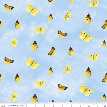 Fat Quarter End of Bolt - CLEARANCE Golden Poppies Butterflies C11803 Blue - Riley Blake Designs - Butterfly - Quilting Cotton Fabric