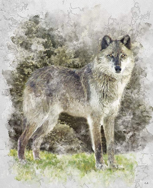 SALE Nature's Window Wolf Panel PD11868 by Riley Blake Designs - DIGITALLY PRINTED Animal Wildlife - Quilting Cotton Fabric