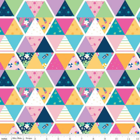 SALE Sunshine Blvd Cheater Print CH12106 Multi - Riley Blake Designs - Sunshine Boulevard Hexagons Hexies - Quilting Cotton Fabric