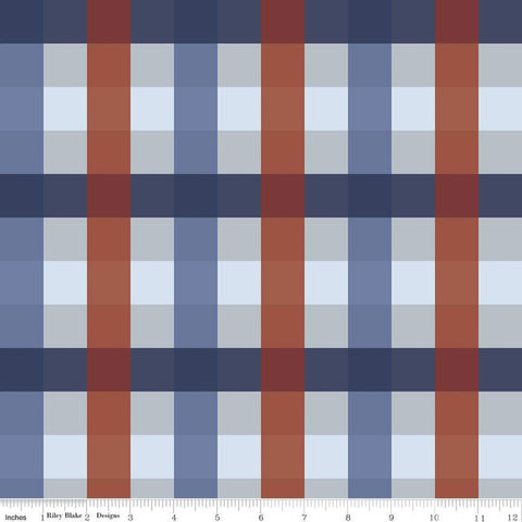 SALE Picadilly Buffalo Plaid C11896 Gray - Riley Blake Designs - Patriotic Independence Day 1" Checks Check - Quilting Cotton Fabric