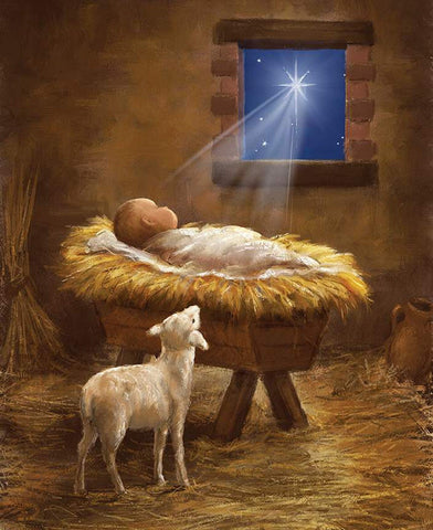Picture a Christmas Manger Panel PD12378 - Riley Blake - DIGITALLY PRINTED Baby Jesus Christ Star Lamb - Quilting Cotton Fabric