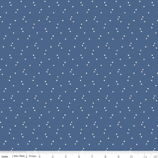 SALE Seasonal Basics Stars C657 Blue - Riley Blake Designs - Americana Patriotic Independence Day Star - Quilting Cotton Fabric