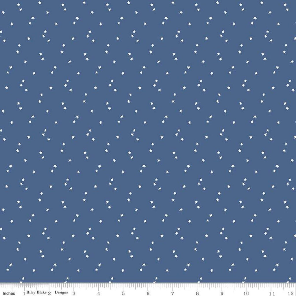 Seasonal Basics Stars C657 Blue by Riley Blake Designs - Americana Patriotic Independence Day Star - Quilting Cotton Fabric