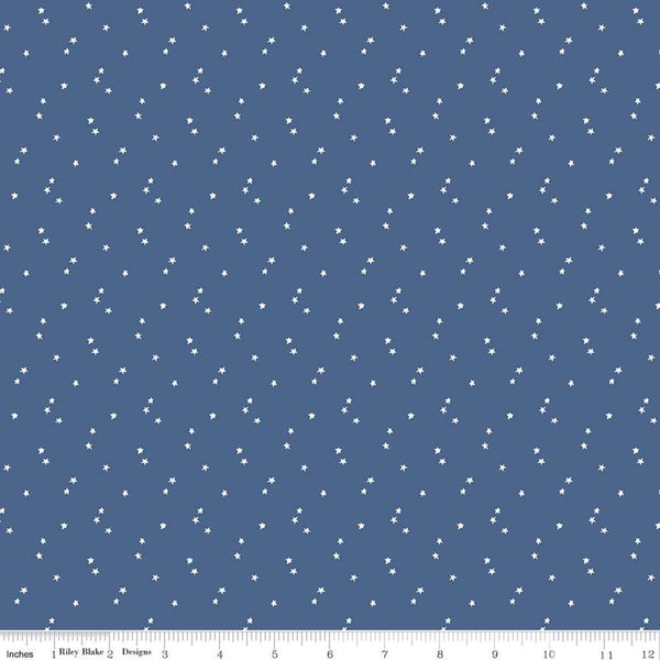 SALE Seasonal Basics Stars C657 Blue by Riley Blake Designs - Americana Patriotic Independence Day Star - Quilting Cotton Fabric