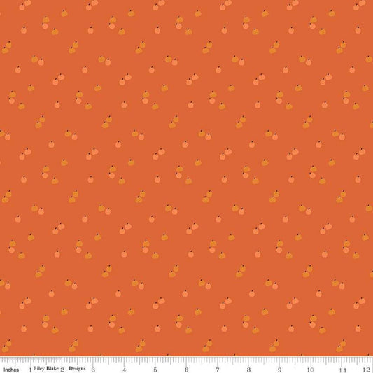 DEAL Seasonal Basics Pumpkins C652 Orange - Riley Blake Designs - Halloween Thanksgiving Autumn Fall - Quilting Cotton Fabric