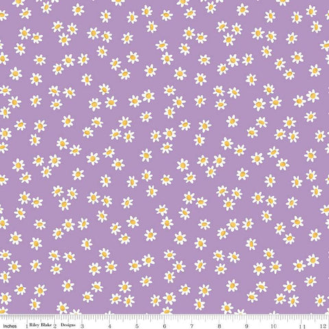 SALE Sweet Picnic Daisy Field C12095 Lilac - Riley Blake Designs - Floral Flowers - Quilting Cotton Fabric